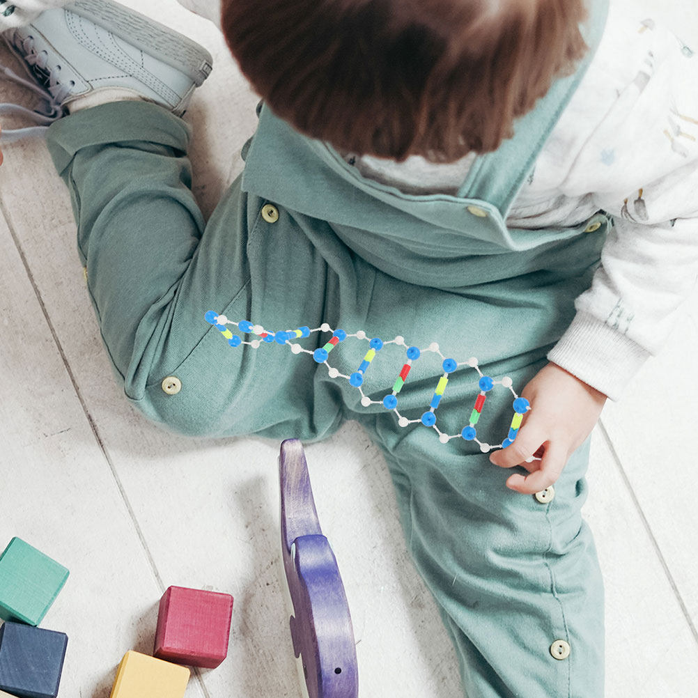 Science Experiment - 2Pcs Dna Double Helix Structural Kit