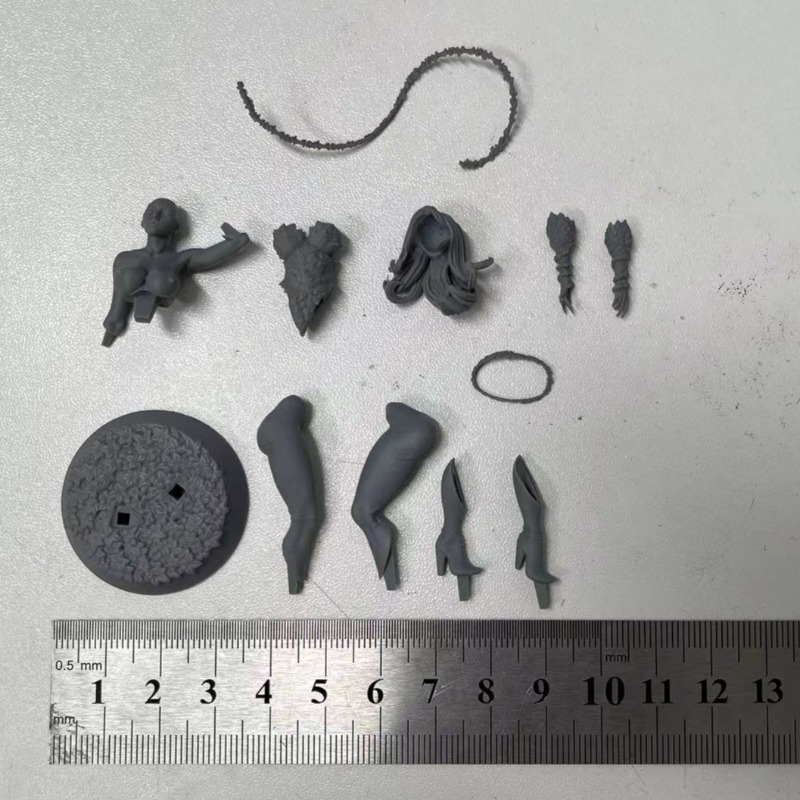 1/24 Scale Forest Queen Scienc - مراجعة Science Hobby Kit وسعره