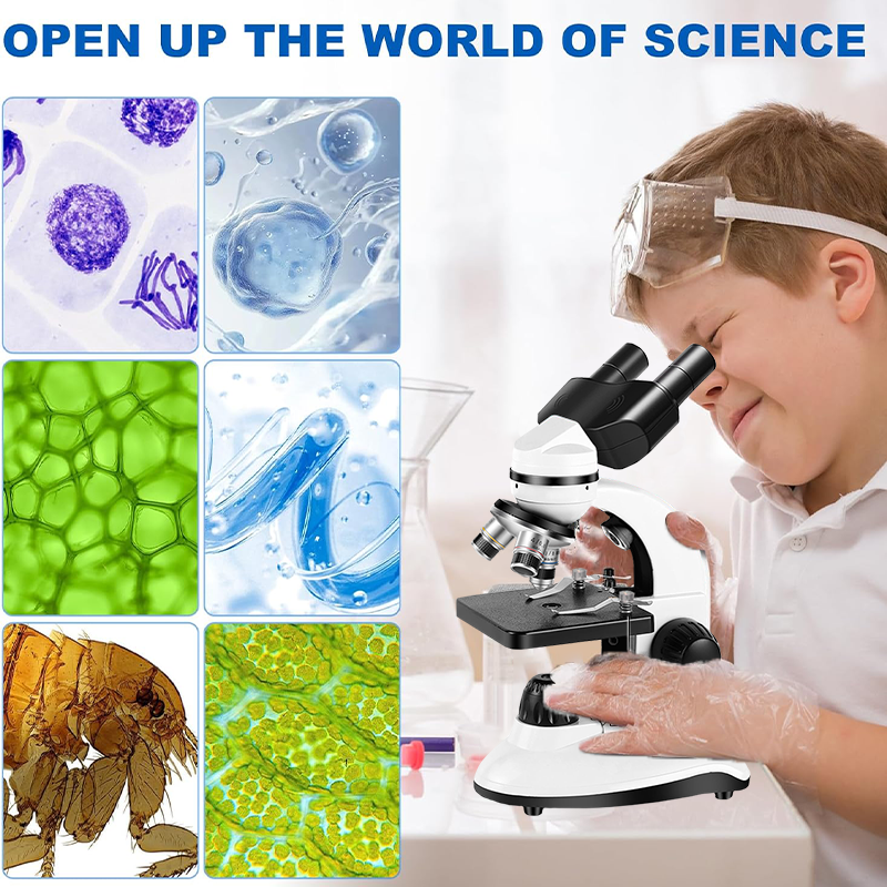 40X-1280X Compound Binocular M - مراجعة Microscope Compound 40X وسعره