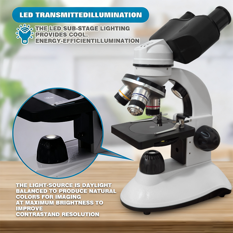 Binocular Compound Microscope  - مراجعة Microscope Compound 40X وسعره