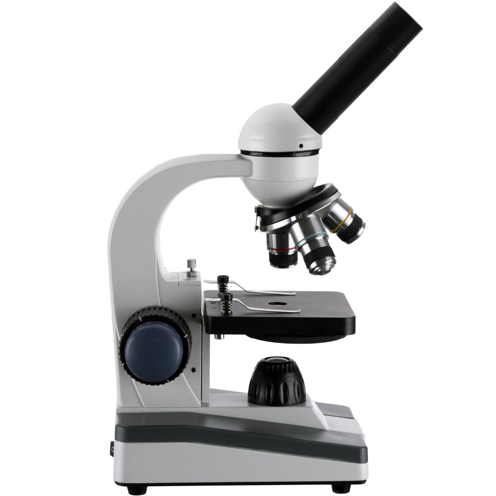 AmScope M150 Series Portable L - مراجعة Microscope Compound 40X وسعره
