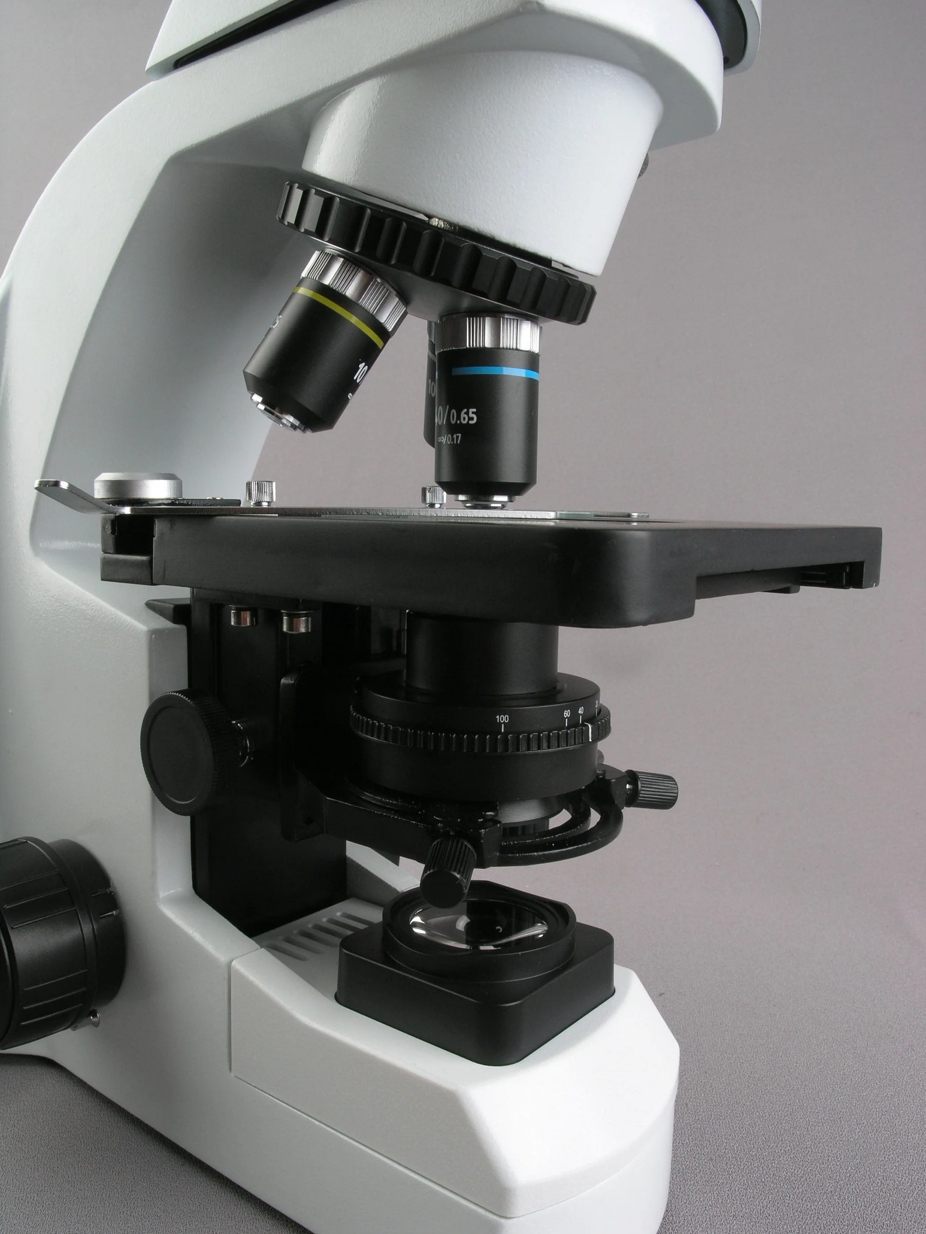 AmScope Infinity-Corrected Tri - مراجعة Microscope Compound 40X وسعره