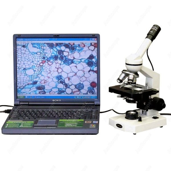 AmScope M600 Series Student Mo - مراجعة Microscope Compound 40X وسعره
