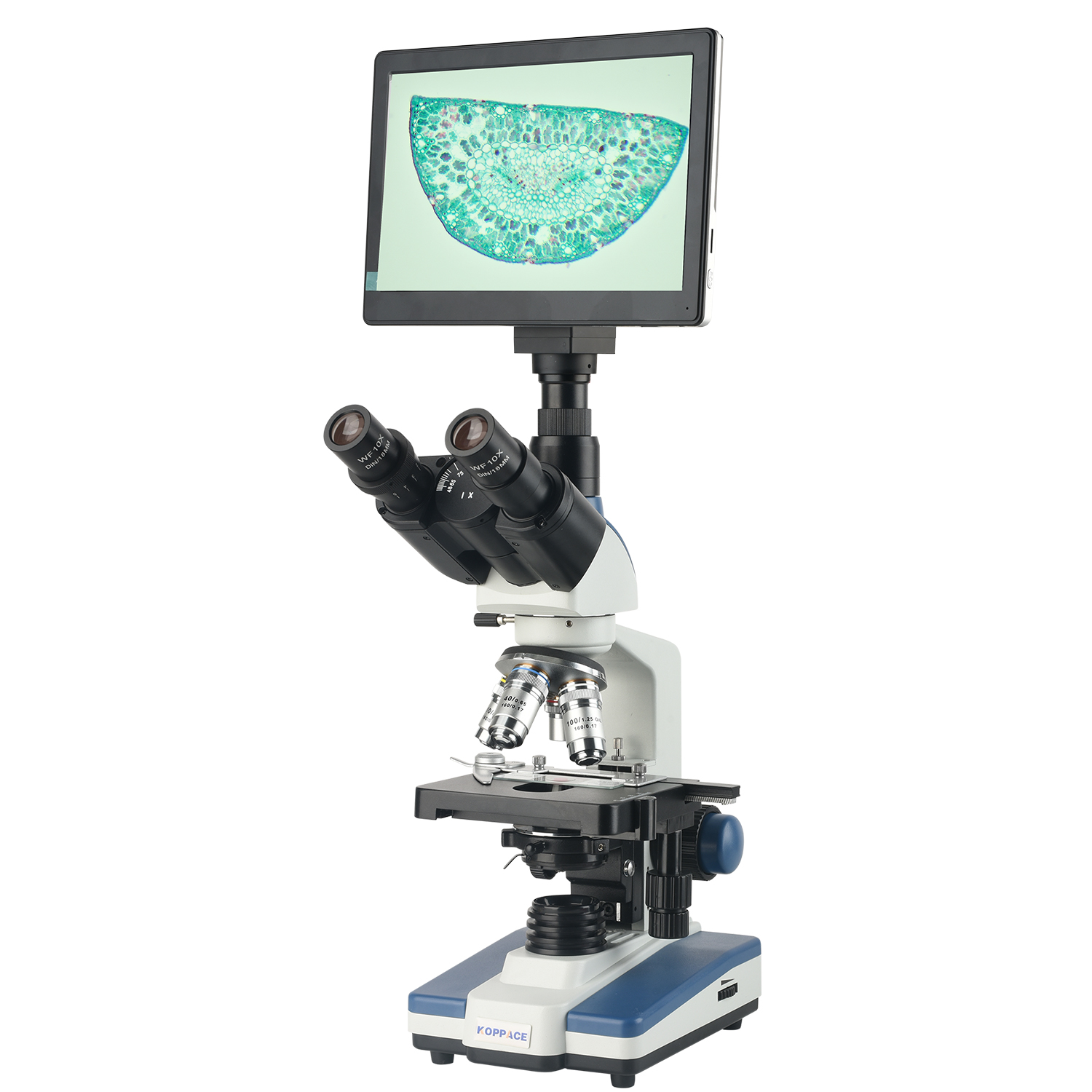 KOPPACE 40X-2500X Electron Com - مراجعة Microscope Compound 40X وسعره