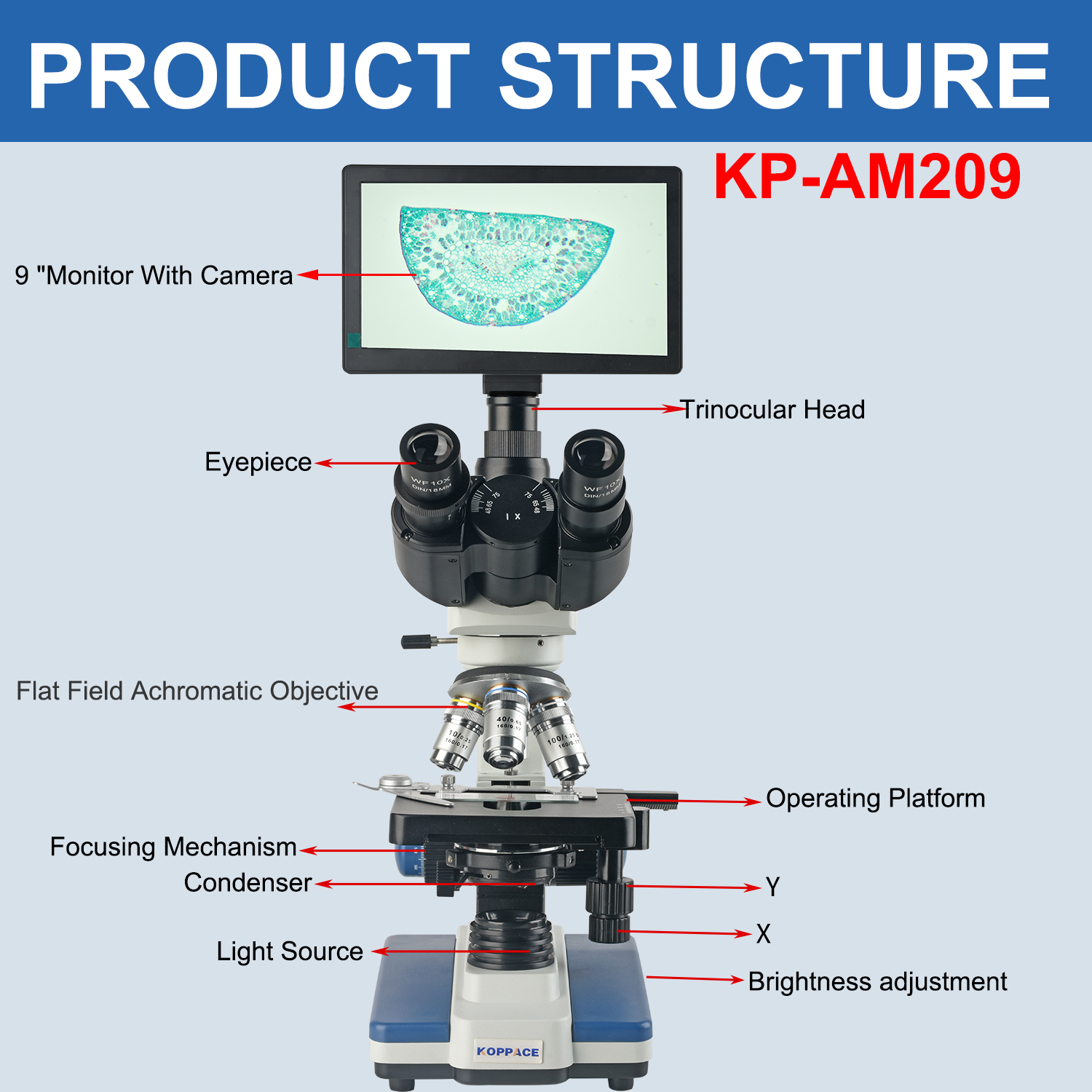KOPPACE 40X-2500X Electron Com - مراجعة Microscope Compound 40X وسعره