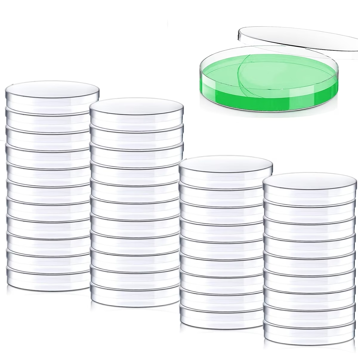 Cost: 20 plastic petri dishes  - مراجعة Science Experiment وسعره