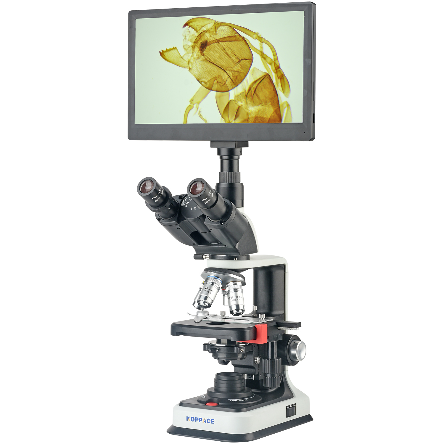 KOPPACE 40X-2500X Electron Com - مراجعة Microscope Compound 40X وسعره