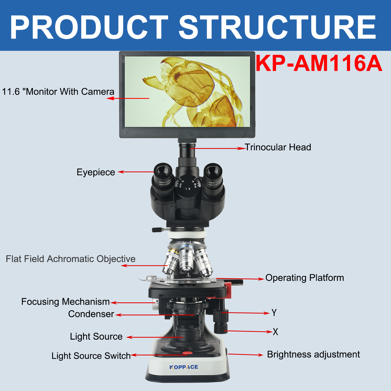 KOPPACE 40X-2500X Electron Com - مراجعة Microscope Compound 40X وسعره