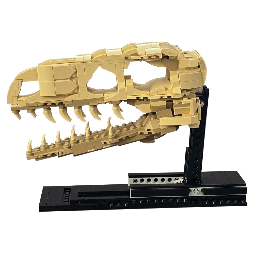 MOC Velociraptor Fossil Skull  - مراجعة Fossil Replica Display وسعره