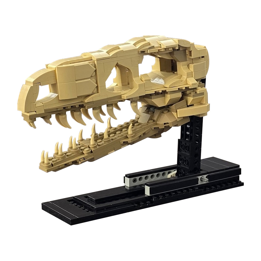 MOC Velociraptor Fossil Skull  - مراجعة Fossil Replica Display وسعره