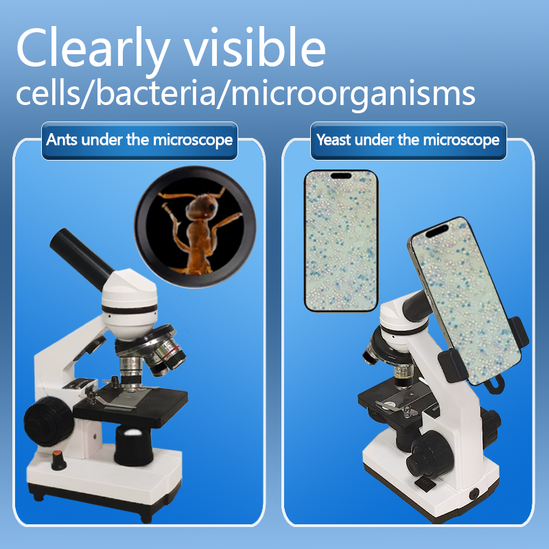 Portable Biological Optical Co - مراجعة Microscope Compound 40X وسعره