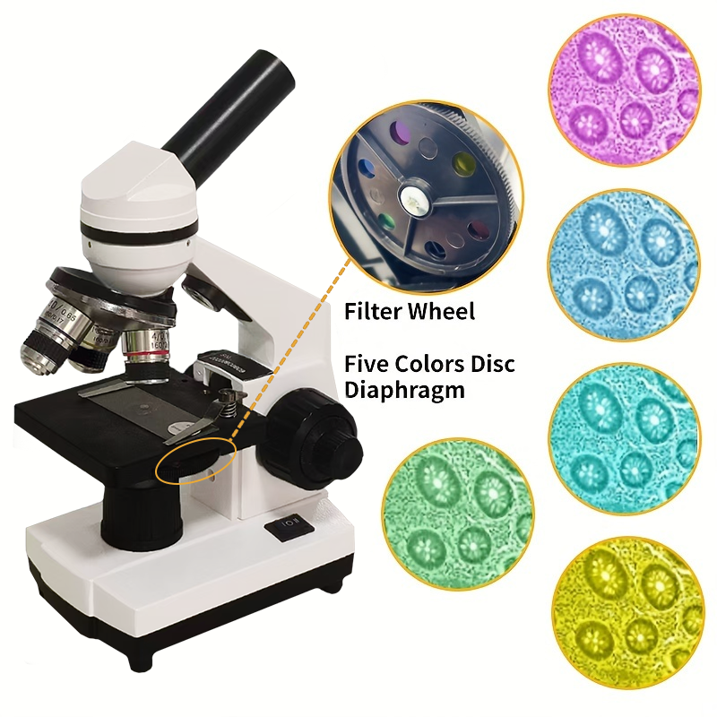 Portable Biological Optical Co - مراجعة Microscope Compound 40X وسعره