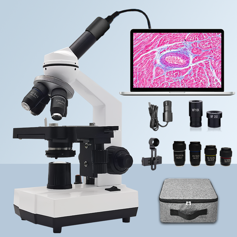 40X-2500X Professional Binocul - مراجعة Microscope Compound 40X وسعره