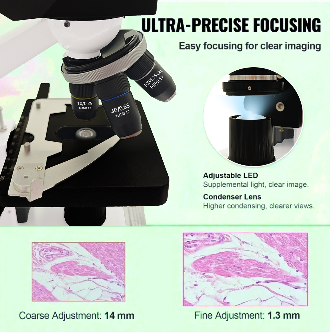 40X-2500X Professional Binocul - مراجعة Microscope Compound 40X وسعره