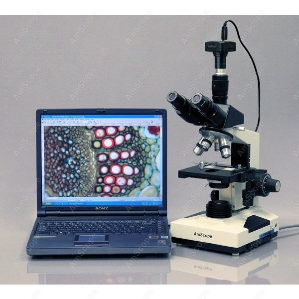 AmScope T490 Series Simul-Foca - مراجعة Microscope Compound 40X وسعره