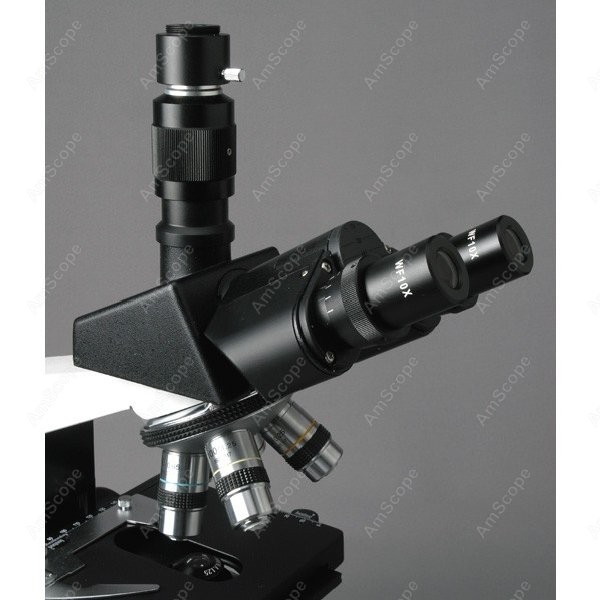 AmScope T490 Series Simul-Foca - مراجعة Microscope Compound 40X وسعره