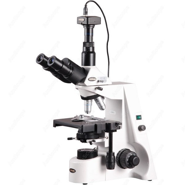 AmScope 40X-2500X Infinity Koh - مراجعة Microscope Compound 40X وسعره