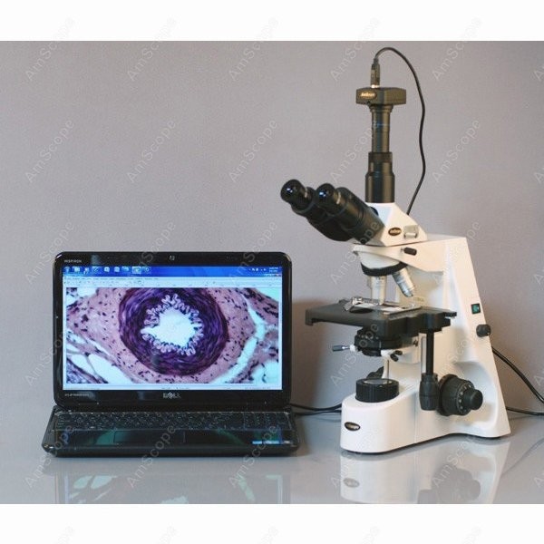 AmScope 40X-2500X Infinity Koh - مراجعة Microscope Compound 40X وسعره