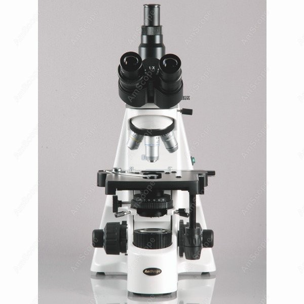 AmScope 40X-2500X Infinity Koh - مراجعة Microscope Compound 40X وسعره