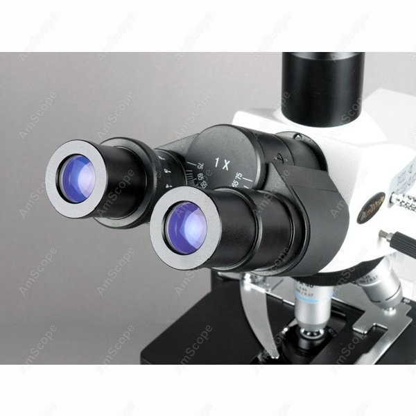 AmScope 40X-2500X Infinity Koh - مراجعة Microscope Compound 40X وسعره