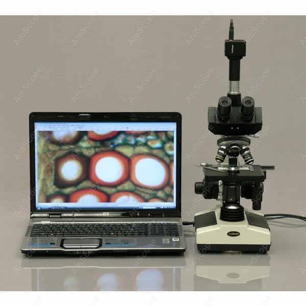 AmScope T390 Series Biological - مراجعة Microscope Compound 40X وسعره