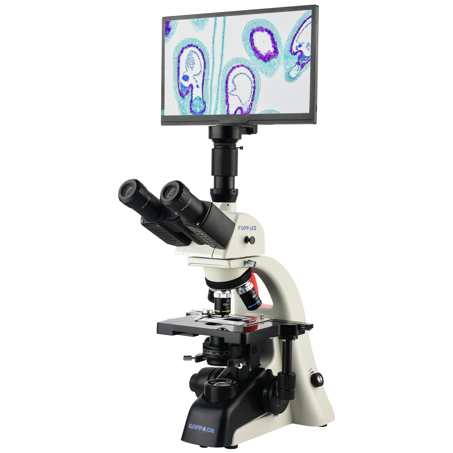 KOPPACE 40X-1600X Electron Com - مراجعة Microscope Compound 40X وسعره