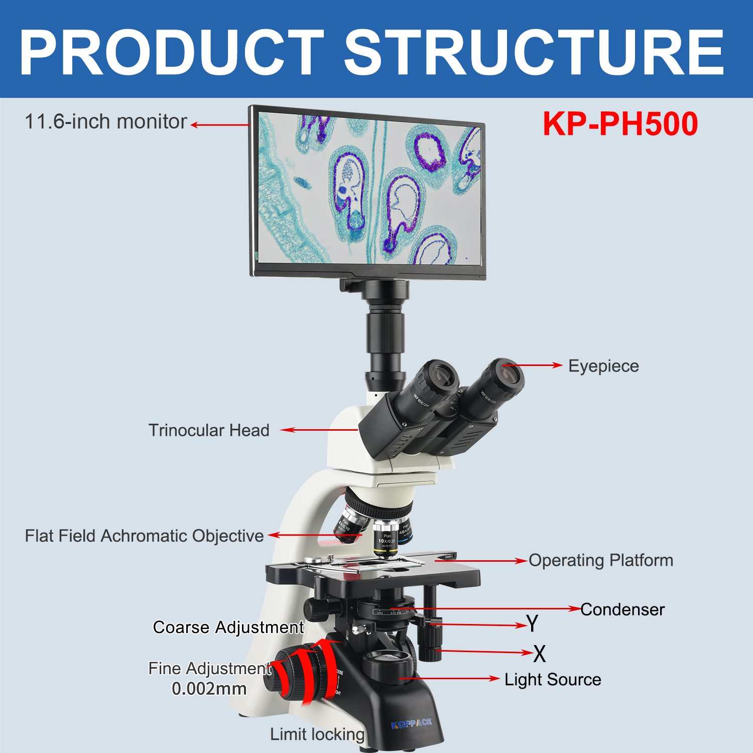 KOPPACE 40X-1600X Electron Com - مراجعة Microscope Compound 40X وسعره