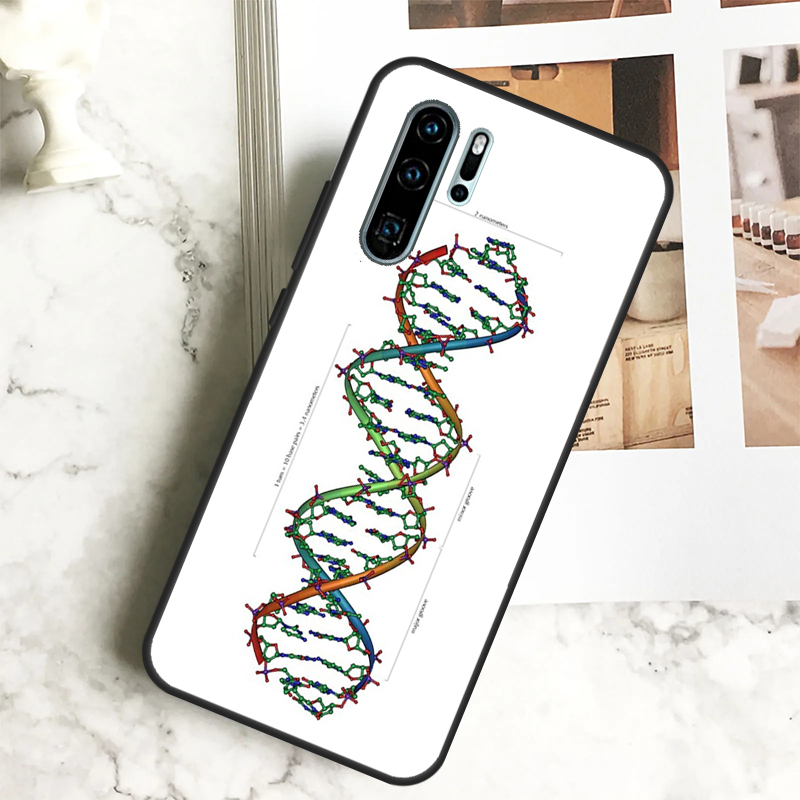 Science DNA Biology For Huawei - مراجعة Science Nova وسعره