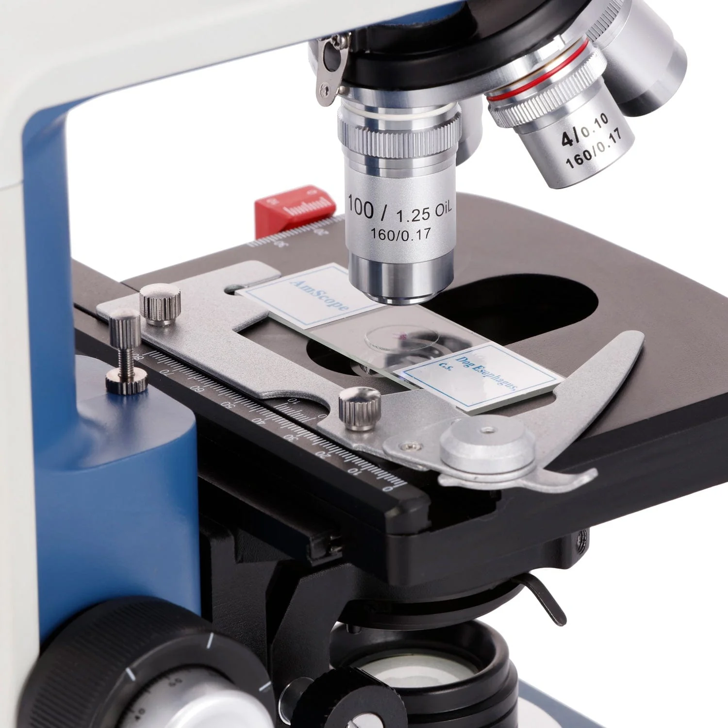AmScope 40X-2500X USB-C Rechar - مراجعة Microscope Compound 40X وسعره